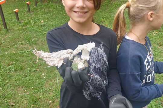 Súťaž 200 ton z lesa von – deti pomáhajú prírode 1
