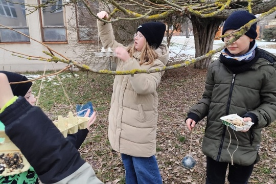 Pomáhame vtáčikom v zime  1