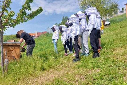 Zoborské včely- edukačná včelnica 1