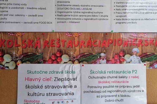 Naša cesta za bronzovým certifikátom SZŠ 1