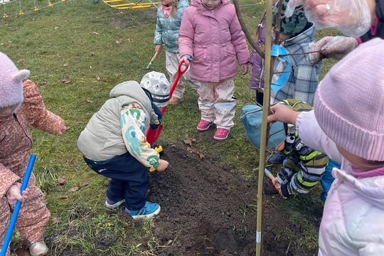 Sadenie stromčekov 1