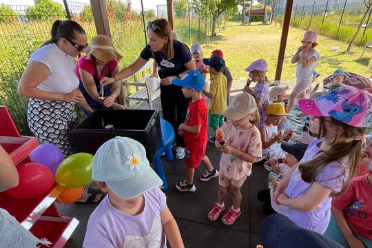 Letné šantenie so zdravým jahodovým sorbetom  1