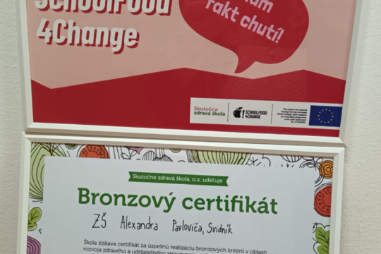 Bronzový certifikát Bronzový certifikát 1