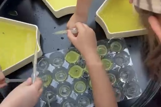 Edukácia o včelárstve aj sladkostiach 1