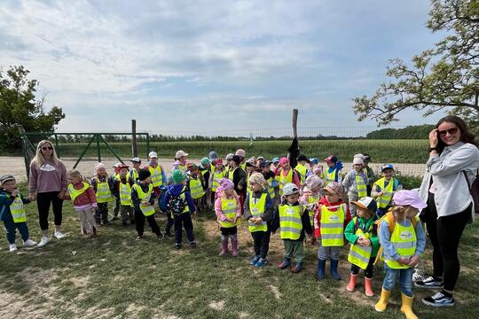 Samozber jahôd 2025 1