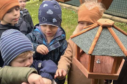 Vtáčia búdka na stojane Vtáčia búdka na stojane 1