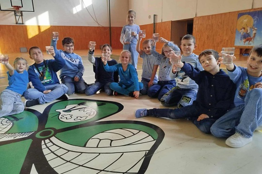 Svetový deň diabetu 1