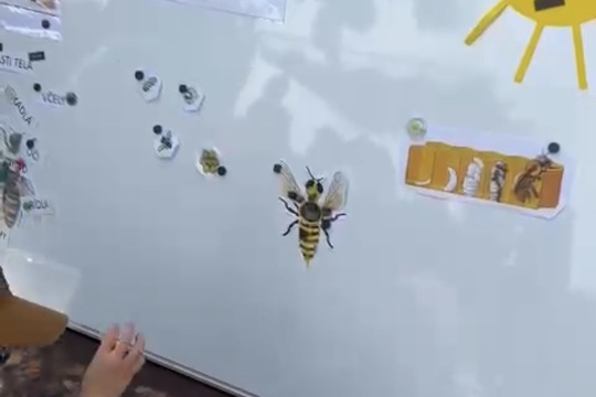 Edukácia o včelárstve aj sladkostiach 1