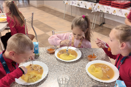 Farebná miska plná zdravia 1