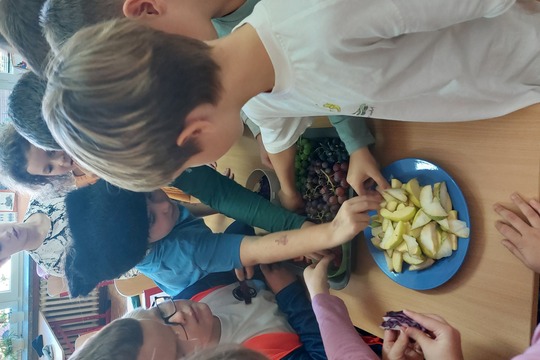 Zelenina a ovocie – sezónne, lokálne, hravo a s chuťou 1