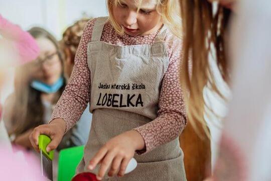 PREDSTAVENIE MŠ LOBELKA, Liptovský Mikuláš 1