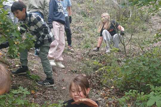 Súťaž 200 ton z lesa von – deti pomáhajú prírode 1